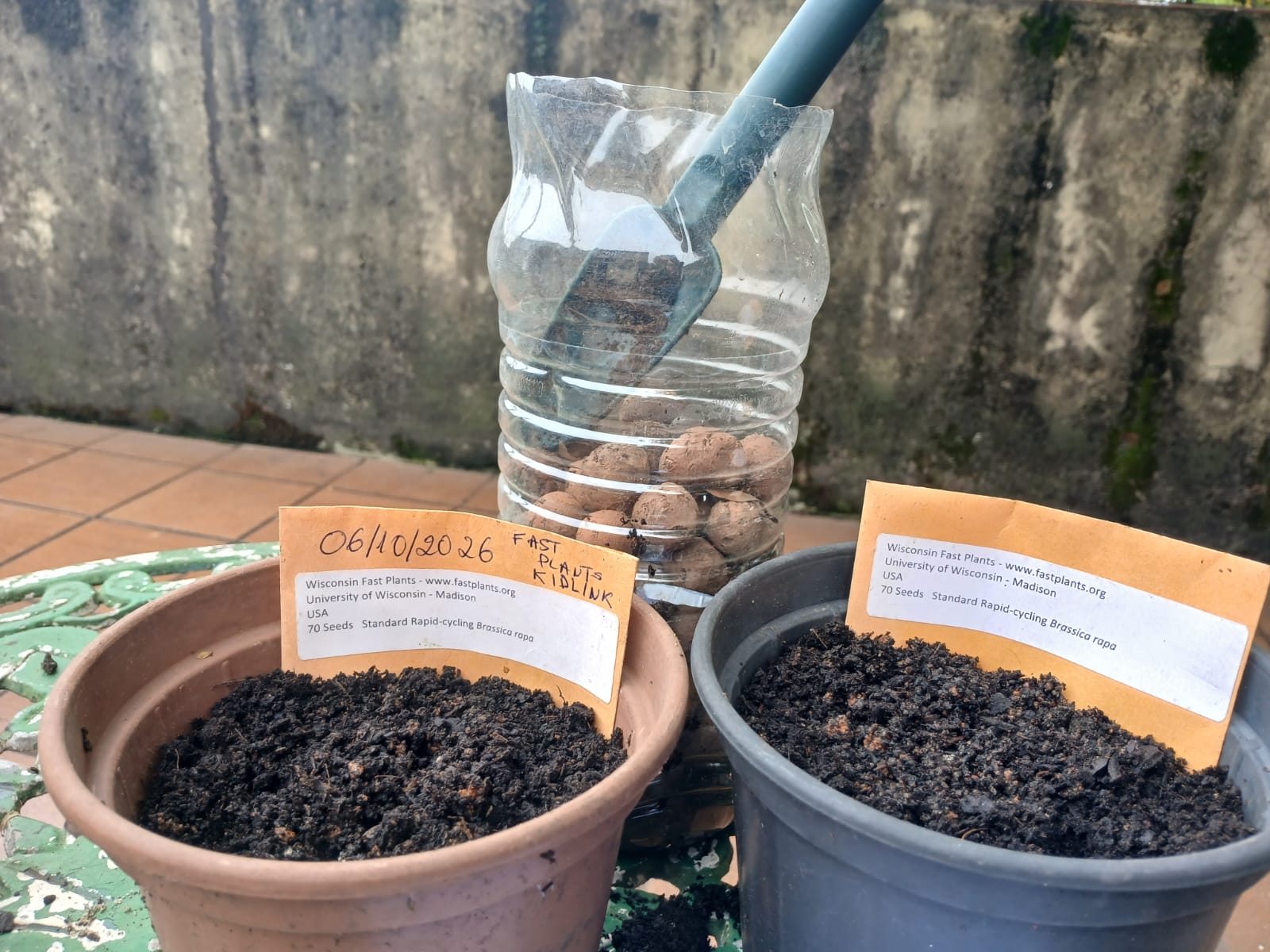 We prepared two pots for our seeds.
